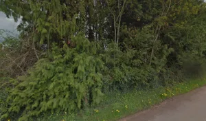 Gamm vert à Semur-en-Auxois