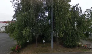 botanic Pépinière de Bavent – Bénouville à Bénouville