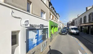 Hélianthus à Le Conquet