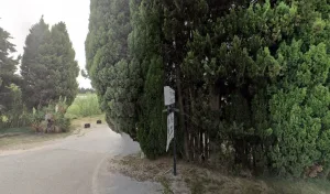 La Roseraie Monsonis Mouriès à Mouriès