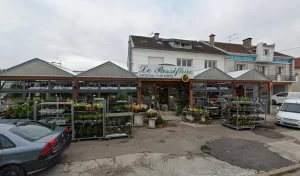 LE PASSIFLORE à Chaumont