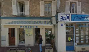 MYOSOTIS à Le Mérévillois