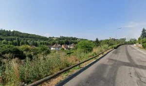 Anémones Fleurs à Altkirch