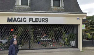 MAGIC FLEURS à Lamorlaye