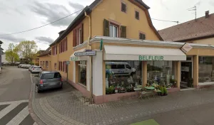 Belfleur à Bollwiller