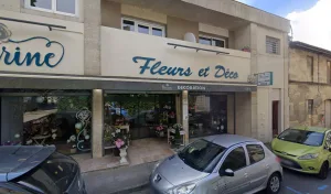 Fleurine à Saint-André-de-Cubzac