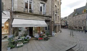 Passiflore à Dinan