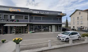 DECURNINGE Fleurs à Publier