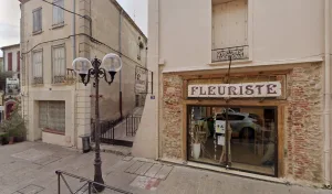 Le sabot de Vénus à Elne