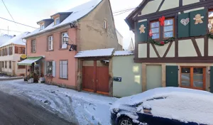 Dany Flor à Rosheim