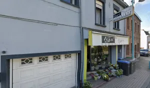 Lys et des Lys à Trith-Saint-Léger