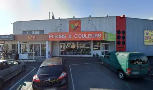 FLEURS ET COULEURS à Castres