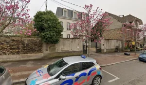 Fleurs Intimes à Meaux