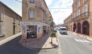 A.salvy Fleurs à Bages