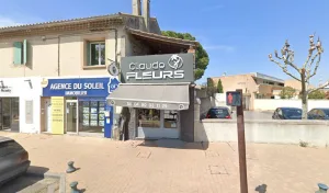 CLAUDE-FLEURS à Le Pontet