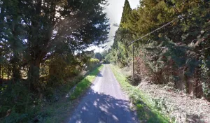 OLIVIER MEFFRE PAYSAGISTE à Saint-Rémy-de-Provence