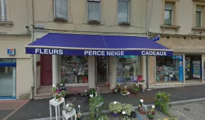 Perce Neige fleurs à Villerupt
