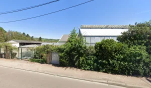 Au Joli Monde de Baron à Joigny