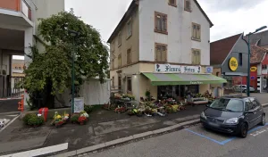 Fleurs Fries à Saint-Louis