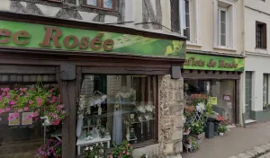 Herisse Lucie à Nogent-le-Roi