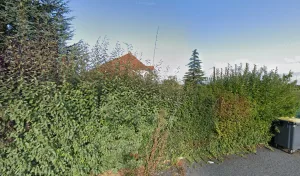 Histoire d&rsquo;une Fleur à Sannerville