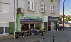 O bonheur des fleurs à Villieu-Loyes-Mollon