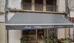 les myosotis à Seurre