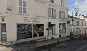 Triel Fleurs Artisan Fleuriste à Triel-sur-Seine