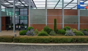 Désirs de Fleurs à Montauban