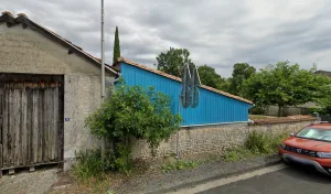 Bouton D Or à Archiac