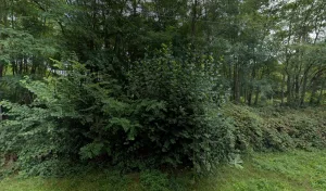 Les Serres de la Garenne à Saint-Pierre-la-Garenne