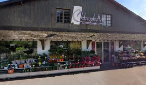 Mil Sarl à La Chapelle-Saint-Mesmin