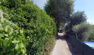 Conso Louis à Nice