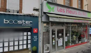 LES FLEURS DU NIL à Toulouse