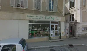 Fleuriste Vert Tige à Seignelay