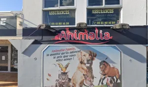 Animalia Family – Animalerie à Grenade