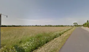 BERNY FLEURS à Ingrandes-le-Fresne-sur-Loire