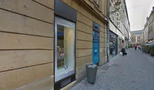Tendances végétales à Metz