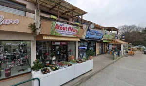 ATOUT FLEURS – 83110 à Sanary-sur-Mer