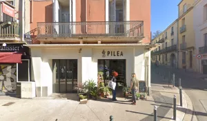 PILEA – jardinerie urbaine à Montpellier