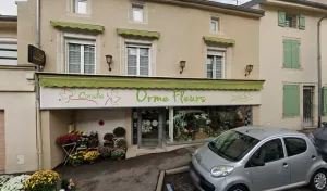 Coralie Orme Fleurs à Malzéville
