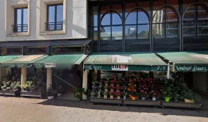 Tulip à Périgueux