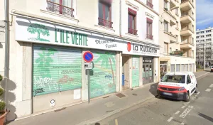L Ile Verte à Lyon