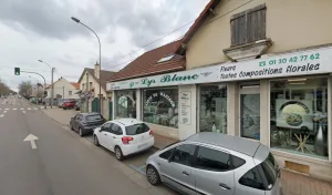 Lys blanc à Gargenville