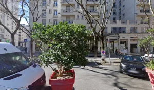 Academy Fleurs à Villeurbanne