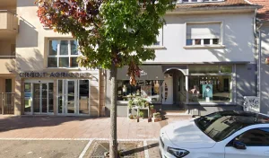 Kintesens, Artisan Fleuriste à Haguenau à Haguenau