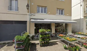 CELINE FLEURS à Saint-Symphorien-d'Ozon