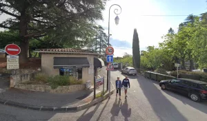Véronique Fleurs à Gréoux-les-Bains