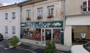 Milleflor à Vailly-sur-Aisne